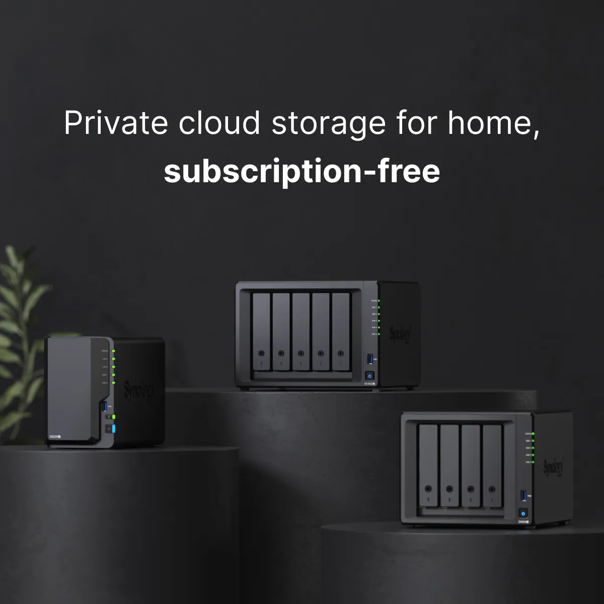 synology